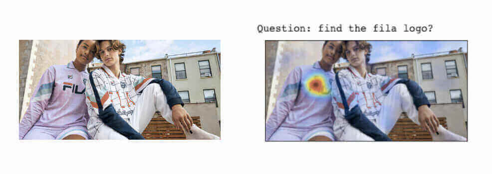 Visual Question Answering (VQA)